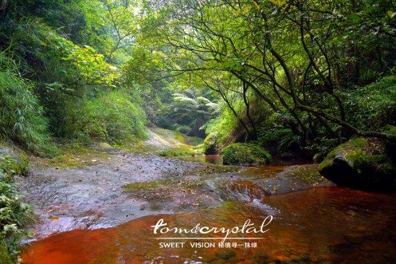 秦皇岛市北戴河区“小海鲜”游学卢龙永平府